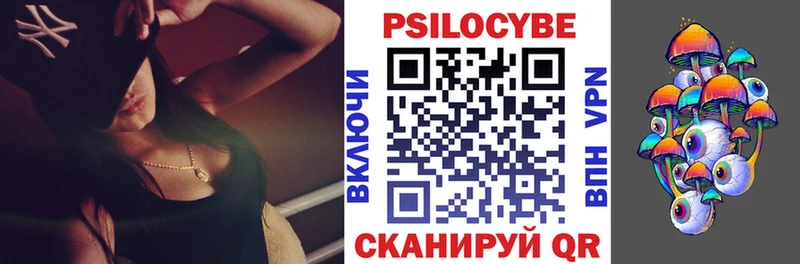 Купить где  Берёзовка  Галлюциногенные грибы мицелий 